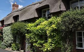 Little Thatch Cottage - Cerne Abbas, Dorset