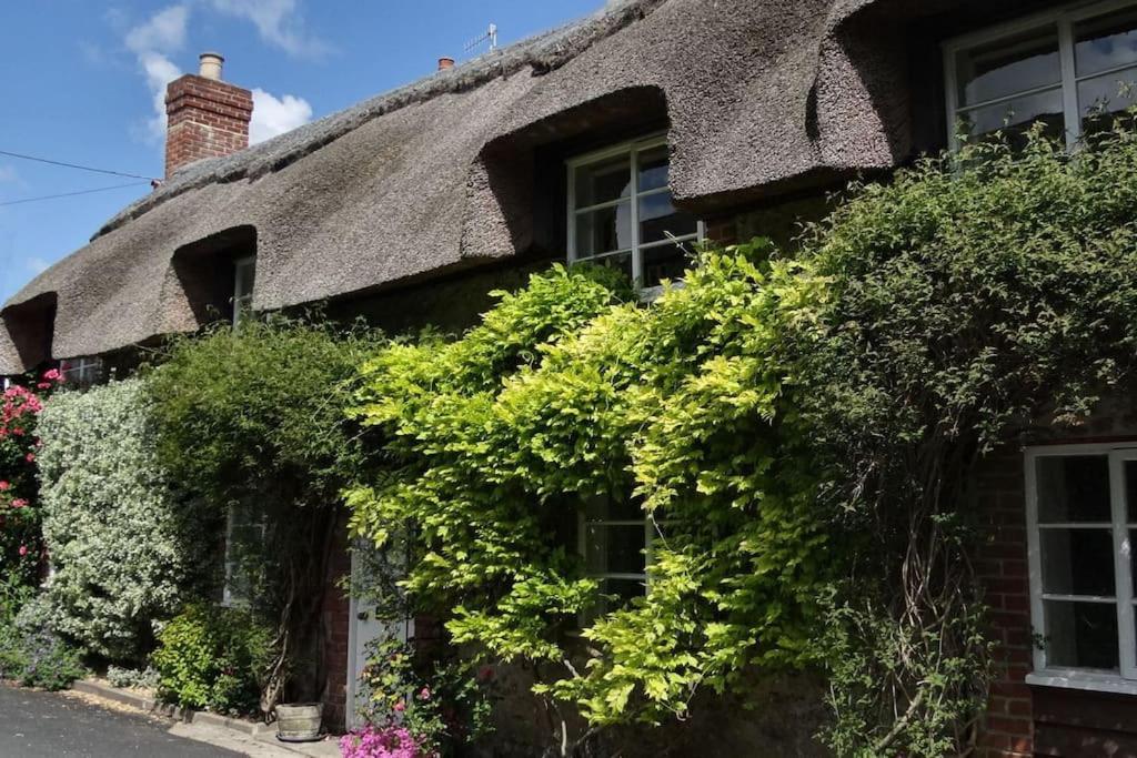 Little Thatch Cottage - Cerne Abbas, Dorset Exterior photo